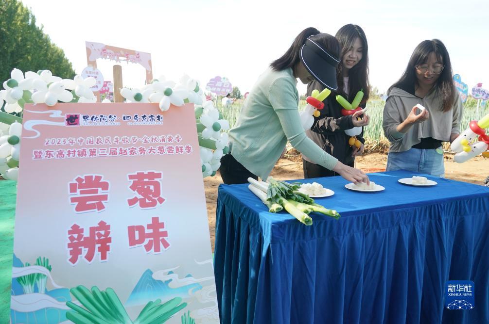 微乐斗地主记牌器下载